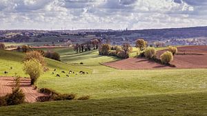 Eperheide
