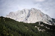Ronde berg in Nationaal Park Triglav van Youri Zwart thumbnail