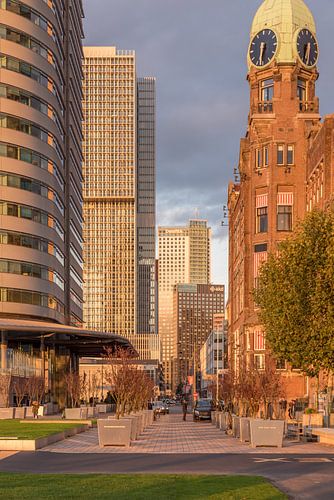 Rotterdam