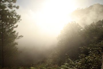 Rustige wandeling op Madeira