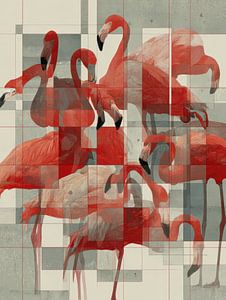 Flamant graphique's