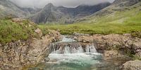 Feen-Polnisch, Skye, Schottland von Arjan Oosterom Miniaturansicht