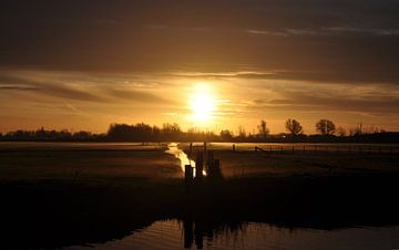 goldener Morgen von sofie van den Nouland