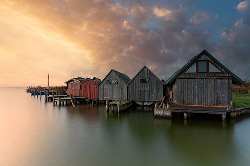 Boathouses in Ahrenshoop harbour at sunrise