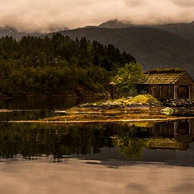 Old Boathouse  van Arthur Wolff