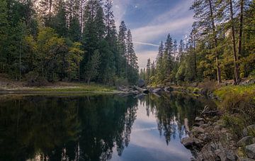 Yosemite NP - Reflexion in den Fluss von Toon van den Einde