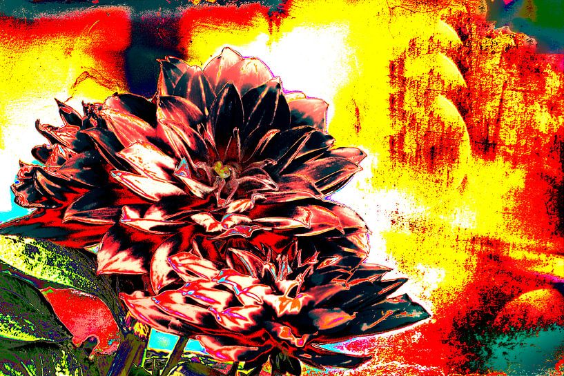 Color Abstration by Harry Stok