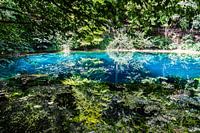 Waterbron Blautopf