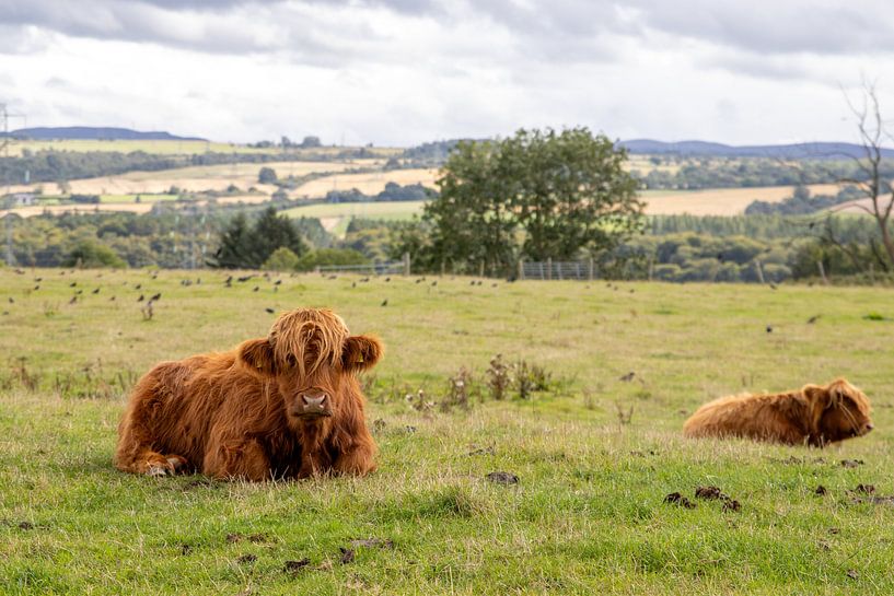 Who are you? by Julie's Gifts