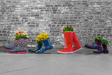 Rubberen laarzen met lentebloemen voor een grijze muur van Andrea Gaitanides - Fotografie mit Leidenschaft