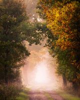 Autumn is coming