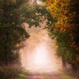 Der Herbst naht von Rob Sprenger
