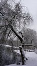 Sneeuwseizoen van fotograaf chaimaa thumbnail