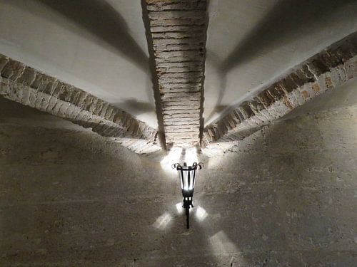 Speling van het licht