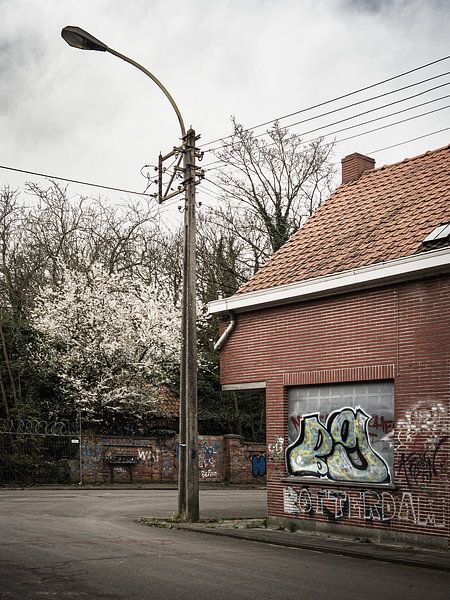 Verlorene Stadt von Caatje Clicks