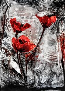 Mohnblumen - Mohnart-rot