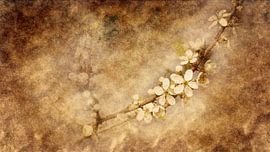 Fleur de printemps (art) sur Art by Jeronimo