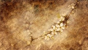 Fleur de printemps (art)