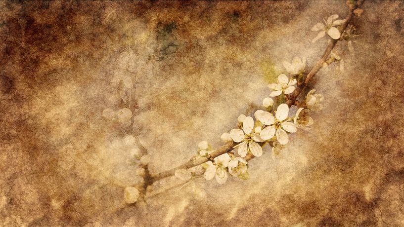 Lentebloesem (kunst) van Art by Jeronimo