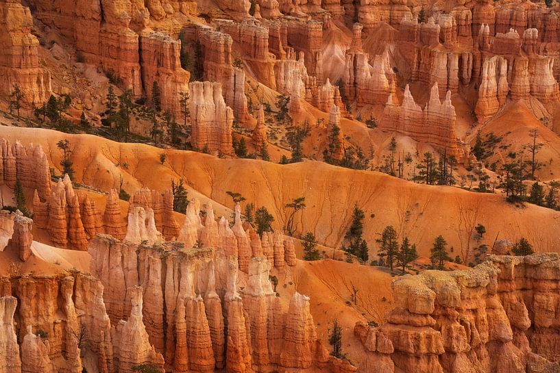 De hoodoos van Martin Podt