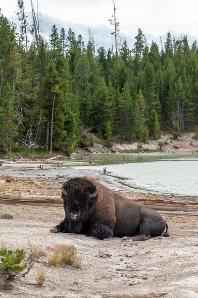 Yellowstone-Nationalpark von Studio Retouched fotoshop