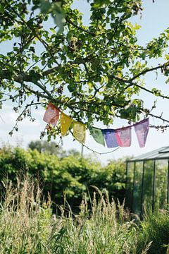 Prayer flags 7 Chakras by Sabine Gaastra
