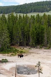 Parc national de Yellowstone sur Studio Retouched fotoshop