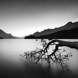 Pure Silence Black & White. van Manfred Voss, Schwarz-weiss Fotografie