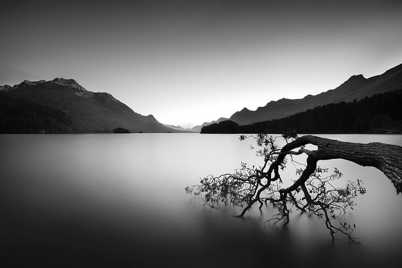 Pure Silence Black &amp; White. par Manfred Voss, Photographie Noir et Blanc