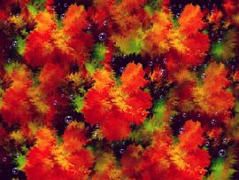 Rotes Blumenmeer by Heidrun Carola Herrmann