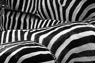 Zebras von Leonie Versantvoort Miniaturansicht
