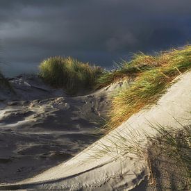 Dunes à Jacobspad sur Schiermonnikoog fotografie