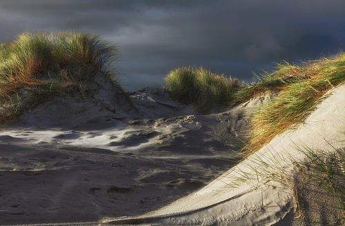 Duinen bij Jacobspad van Schiermonnikoog fotografie