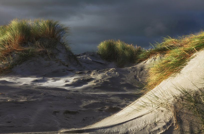 Dünen am Jacobspad von Schiermonnikoog fotografie
