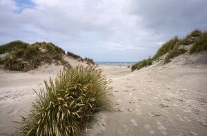 Eingang zum Strand von Ameland von Bo Scheeringa Photography