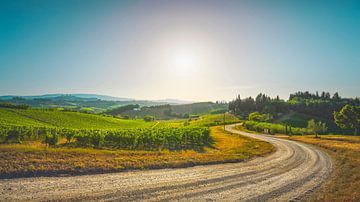 Weg en wijngaarden op het platteland van San Gimignano van Stefano Orazzini