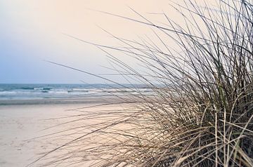 Kustlandschap met duingras op de voorgrond en golven op de achtergrond.