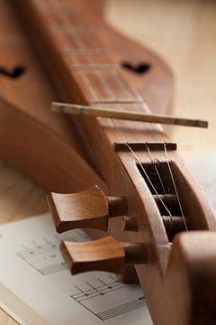 Een traditionele dulcimer, een snaar instrument van Frans Rombout