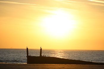 Sonnenuntergang Zoutelande
