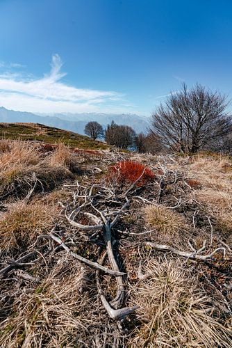 Uitzicht op het Lago Maggiore vanaf de Monte Covreto