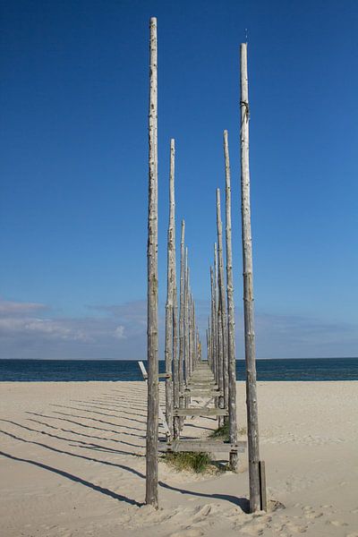 Texel-Vlieland by Wilma Van beekhuizen