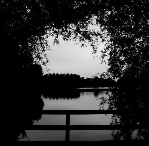 Natuurlijke kader