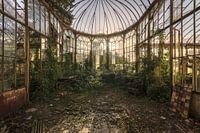 The devil's garden