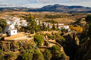 Altstadt Gebäude von Ronda an der Schlucht  Tajo de Ronda Andalusien Spanien