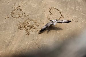 Liebe und Strandleben.