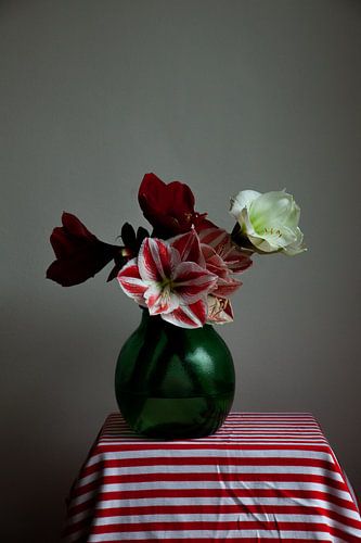 Nature morte d'Amaryllis sur tapis rayé