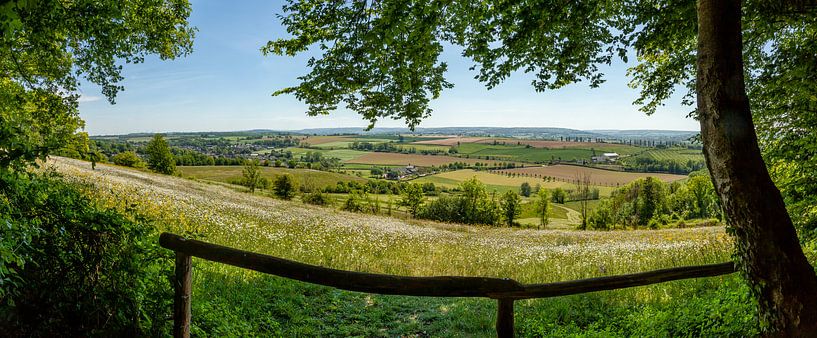 Panorama uitzicht vanuit het Eyserbos van John Kreukniet