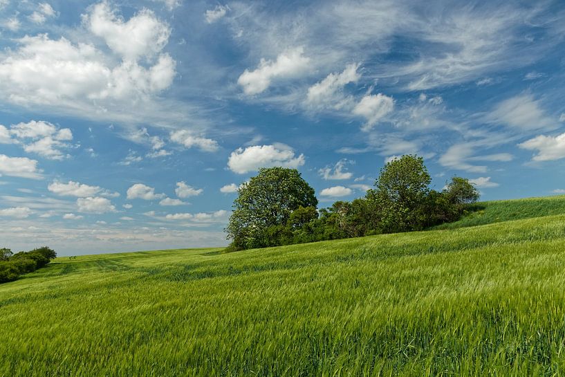 Zomerlandschap van Alexander Ließ