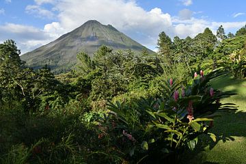 View of the Arenal volcano in Costa Rica by Rini Kools