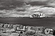 Last exit Palermo by Silva Wischeropp thumbnail
